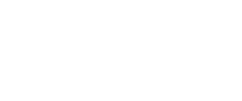 Stacy Lang Nutrition Logo